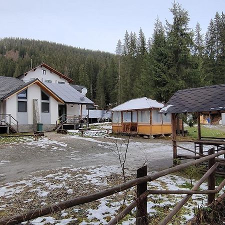 Complex Transalpina Lac Voineasa Buitenkant foto
