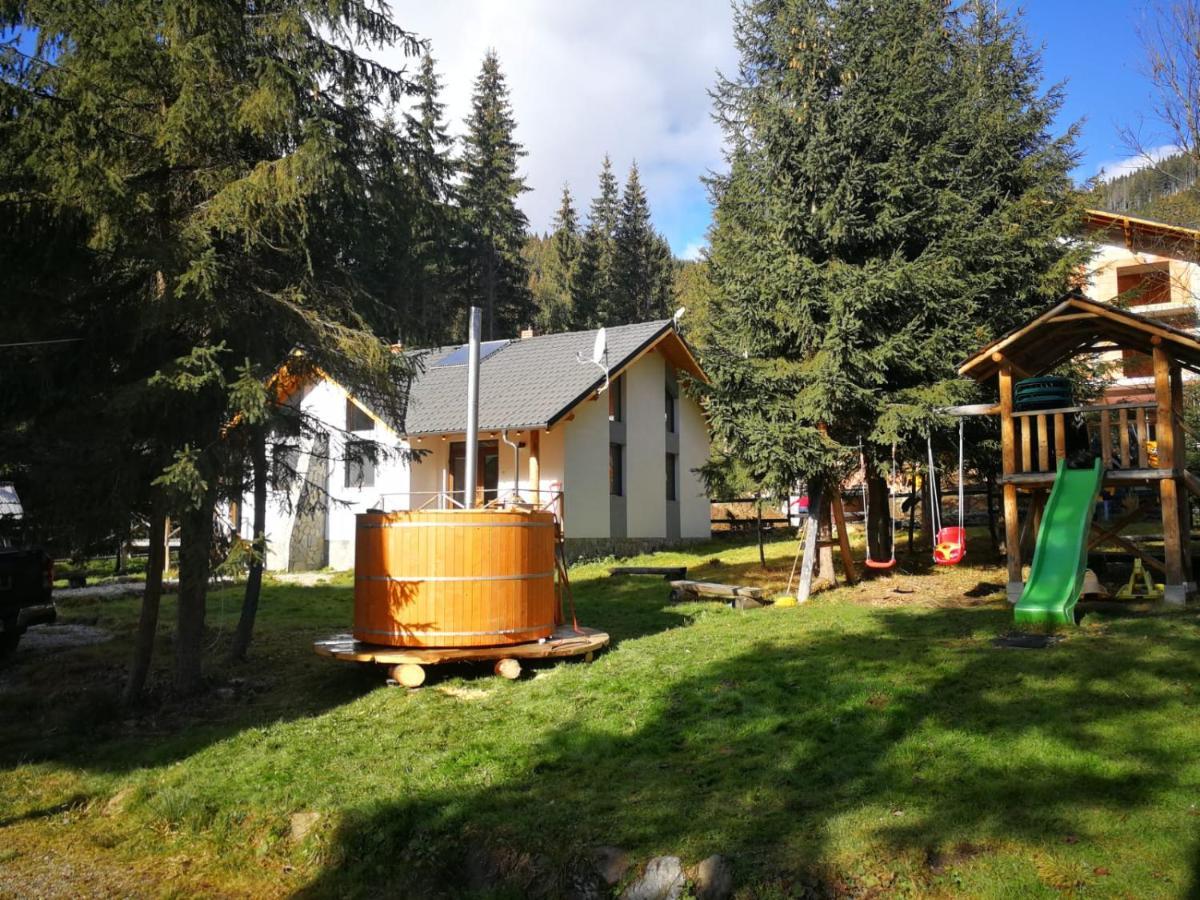 Complex Transalpina Lac Voineasa Buitenkant foto