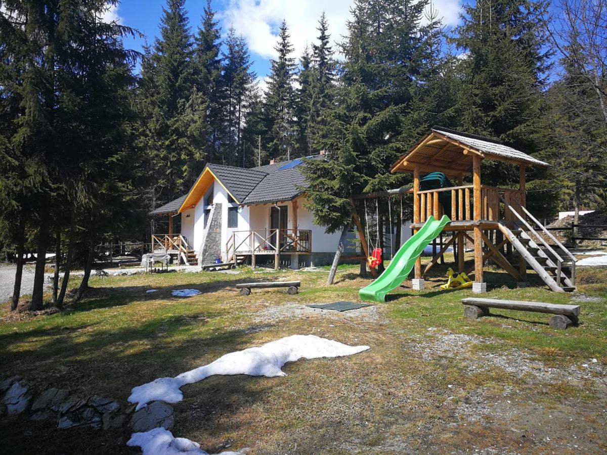 Complex Transalpina Lac Voineasa Buitenkant foto